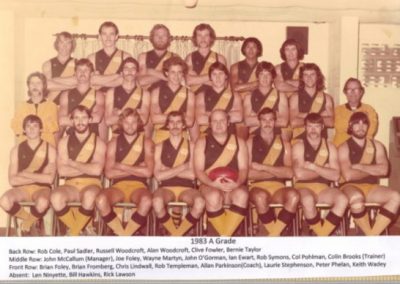 Redcliffe Tigers History 1983
